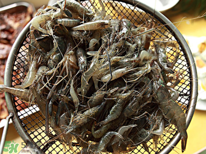 河蝦可以吃頭嗎？蝦頭到底能不能吃？