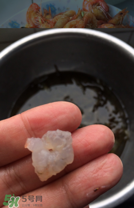 河蝦可以放冰箱嗎？河蝦在冰箱能放幾天？
