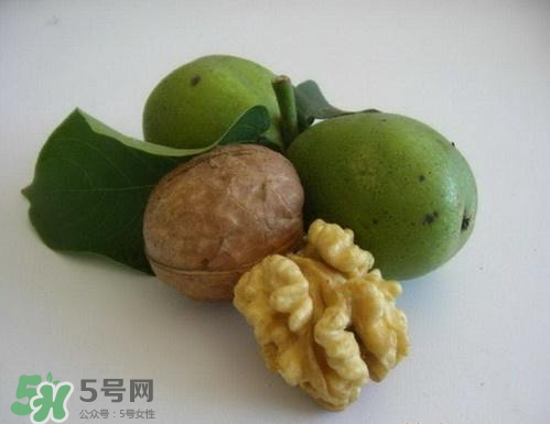 鮮核桃和干核桃哪個(gè)更有營(yíng)養(yǎng)？鮮核桃和干核桃哪個(gè)營(yíng)養(yǎng)價(jià)值高？