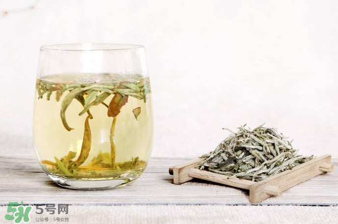 白毫銀針屬于綠茶嗎？白毫銀針是什么茶？