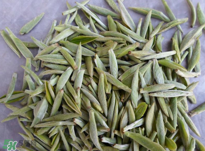 白毫銀針屬于綠茶嗎？白毫銀針是什么茶？