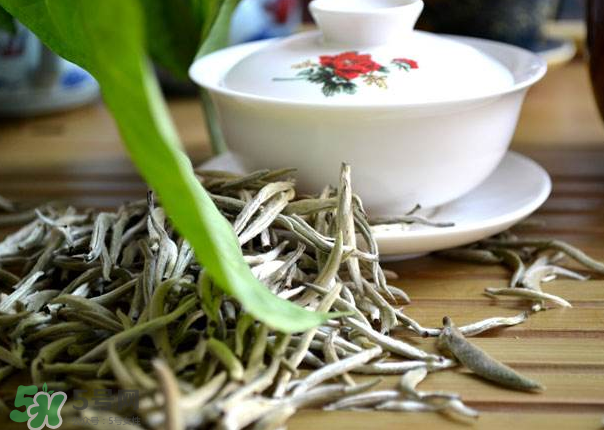 白茶需要洗茶嗎？白茶是洗還是不洗？