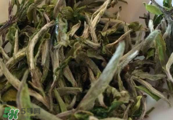 白茶需要洗茶嗎？白茶是洗還是不洗？