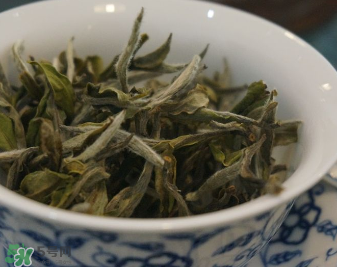 白茶需要洗茶嗎？白茶是洗還是不洗？