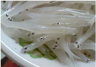 銀魚怎么保存？銀魚可以放在冰箱冷凍保存嗎？