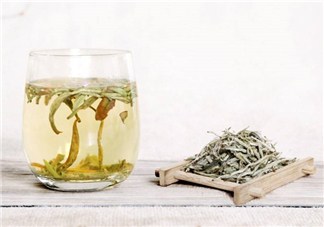 白毫銀針屬于綠茶嗎？白毫銀針是什么茶？