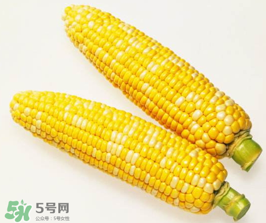 九月份能種玉米嗎？玉米九月份還可以種嗎？
