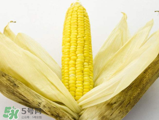 九月份能種玉米嗎？玉米九月份還可以種嗎？