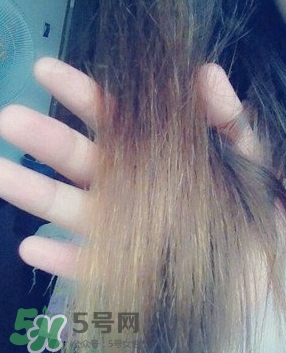 摩洛哥護(hù)發(fā)精油是哪個(gè)國(guó)家的？摩洛哥護(hù)發(fā)精油孕婦能用嗎