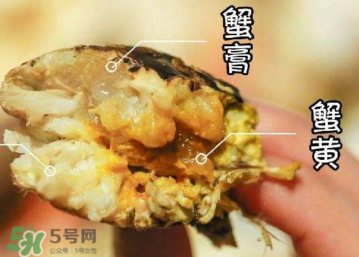 蟹黃是黑色的怎么回事？蟹黃中間有黑的是什么？