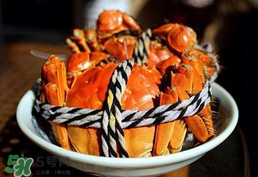 啤酒蒸大閘蟹怎么做？啤酒蒸大閘蟹做法步驟