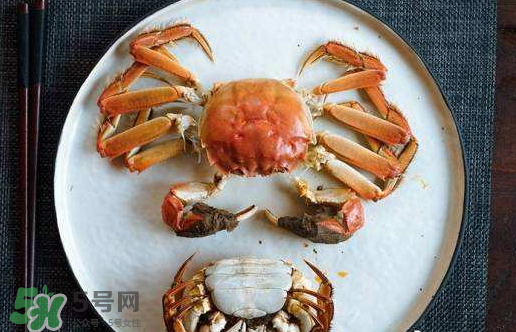 啤酒蒸大閘蟹好吃嗎？啤酒蒸大閘蟹怎么吃？