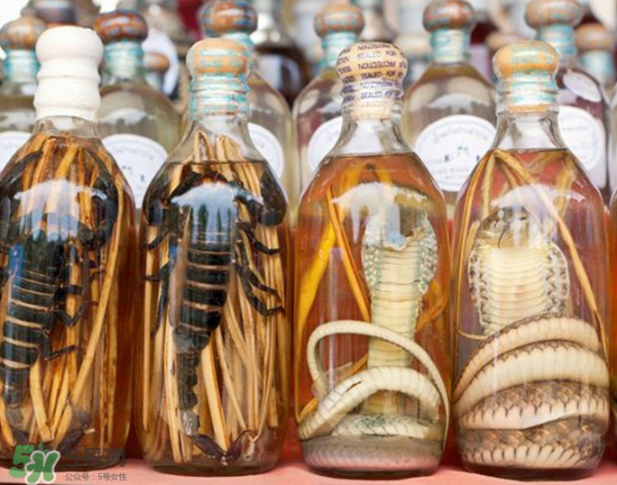 毒蛇泡酒有毒嗎？毒蛇泡酒能喝嗎？