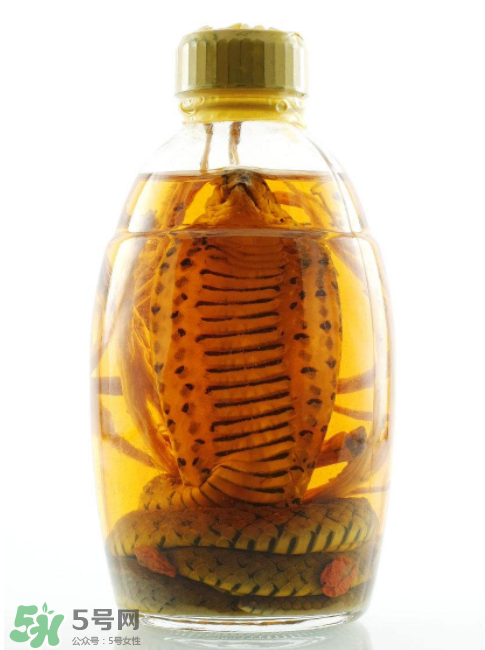 毒蛇泡酒有毒嗎？毒蛇泡酒能喝嗎？