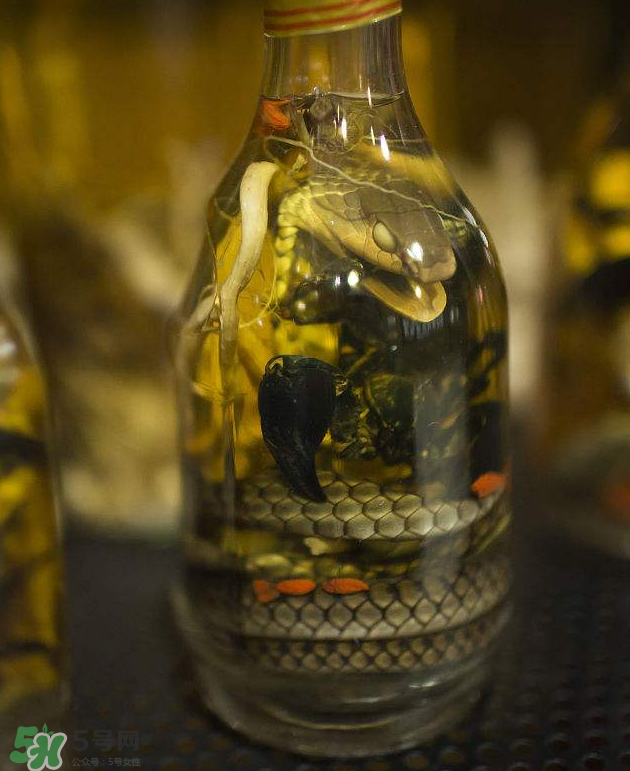 毒蛇泡酒有毒嗎？毒蛇泡酒能喝嗎？