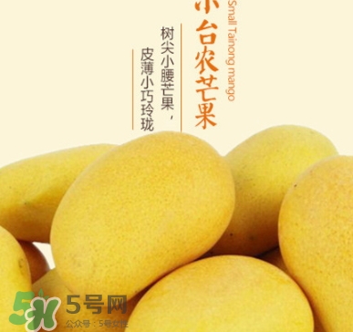 臺農(nóng)芒果多少錢一斤？臺農(nóng)芒果為什么叫臺農(nóng)芒果