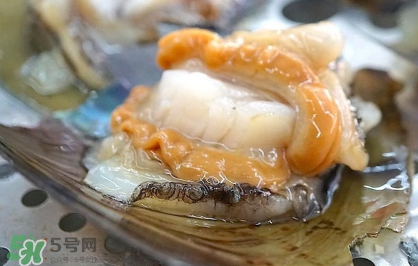 帶子哪里不能吃？帶子有什么營養(yǎng)價值