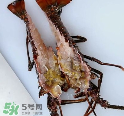 波士頓龍蝦產(chǎn)自波士頓嗎？波士頓龍蝦是哪里的
