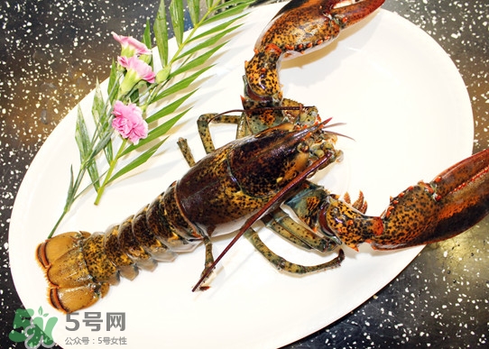 波士頓龍蝦頭能吃嗎？波士頓龍蝦哪里不能吃