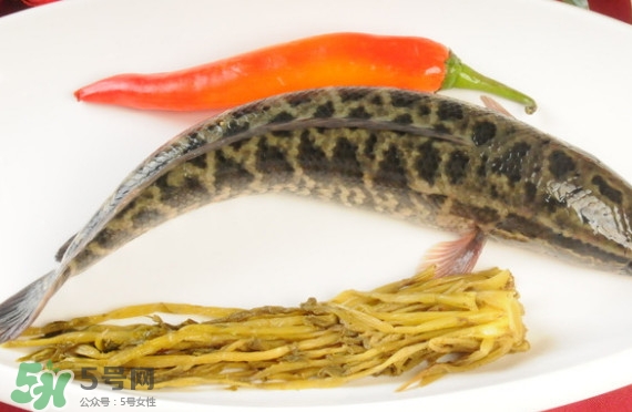 黑魚和草魚哪個(gè)好吃？黑魚不適合什么人吃