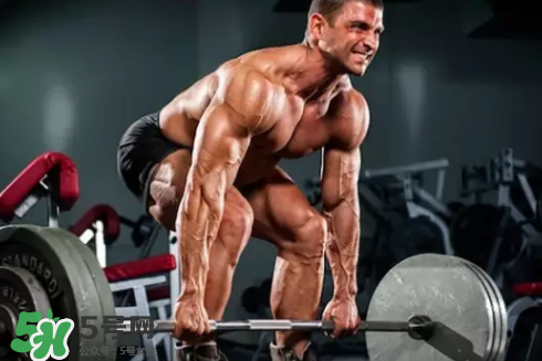 硬拉可以天天練嗎？硬拉可以每天做嗎？