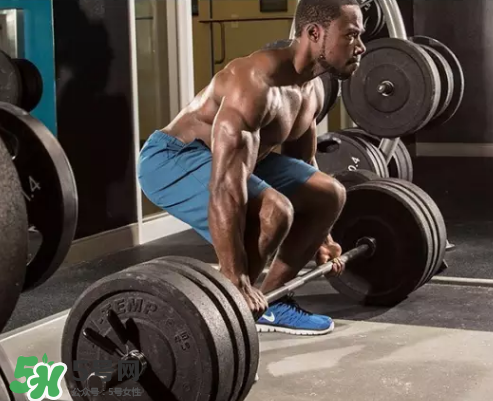 硬拉可以天天練嗎？硬拉可以每天做嗎？