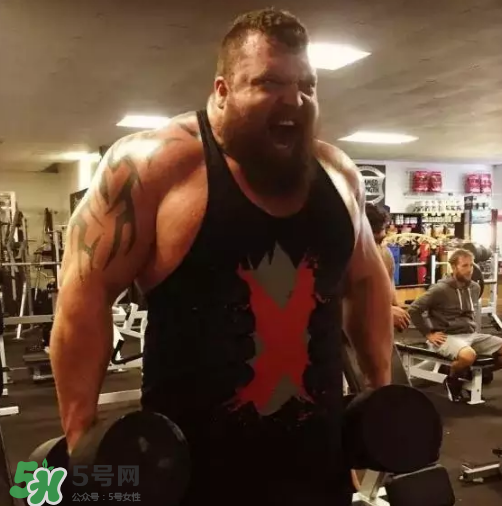 硬拉要放地上嗎？硬拉要觸地嗎？