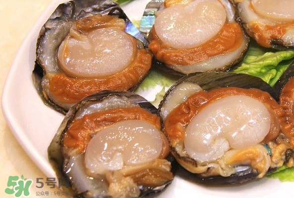 帶子是什么海鮮？帶子是什么東西