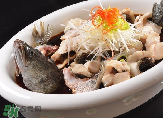 黑魚怎么殺不滑？黑魚為什么又被叫做財(cái)魚