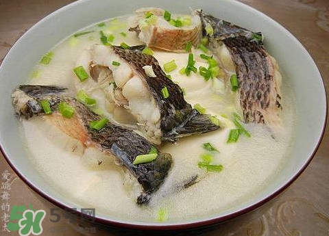 黑魚湯是發(fā)物嗎？黑魚湯可以放香菇嗎