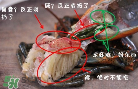 波士頓龍蝦頭能吃嗎？波士頓龍蝦哪里不能吃