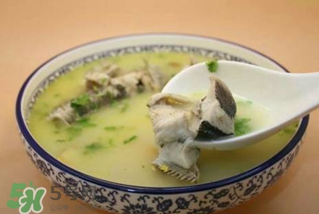 黑魚湯下奶嗎？黑魚湯是下奶還是回奶