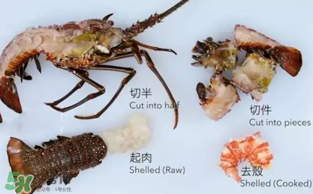 波士頓龍蝦有多大？波士頓龍蝦怎樣去殼