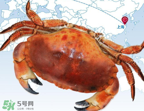 面包蟹的營養(yǎng)價值 面包蟹的產地