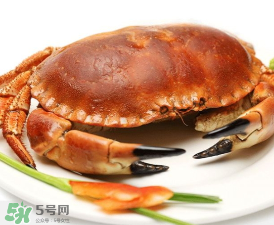 面包蟹的營養(yǎng)價值 面包蟹的產地