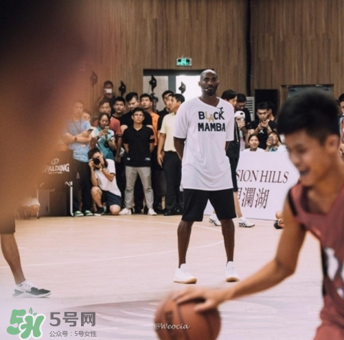 nike kobe ad mid baseline什么時(shí)候發(fā)售_多少錢？