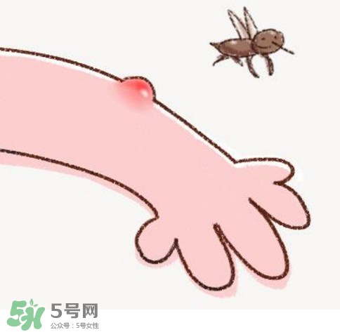 秋天有蚊子嗎？秋天有蚊子怎么辦？