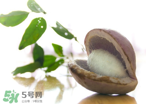 八月瓜的皮可以吃嗎？八月瓜的皮有什么功效