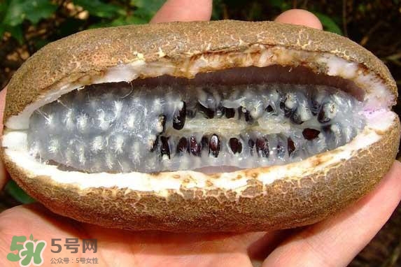 八月瓜能吃嗎？八月瓜到底有什么價值？