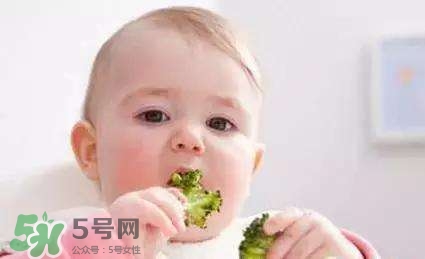 寶寶多大能吃調(diào)料？給寶寶輔食加調(diào)料的原則