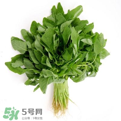 寶寶輔食可以吃哪些蔬菜？寶寶吃蔬菜泥的最佳時間