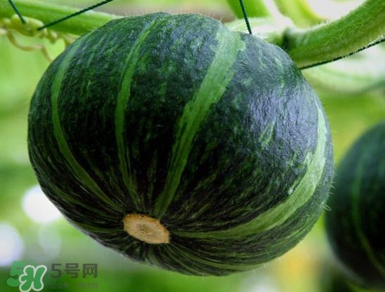 貝貝南瓜蒸多久能吃？貝貝南瓜和普通南瓜有什么區(qū)別