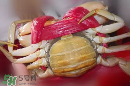 黃油蟹是海蟹嗎？黃油蟹是如何進化的