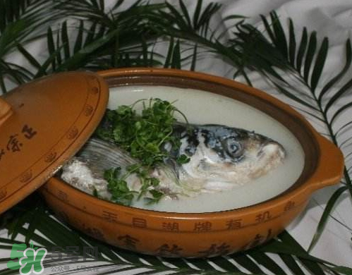 鰱魚頭湯孕婦可以吃嗎？鰱魚頭湯的功效與作用