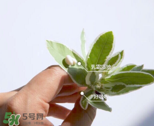 城野醫(yī)生377有副作用嗎？城野醫(yī)生377用了臉癢是什么原因？