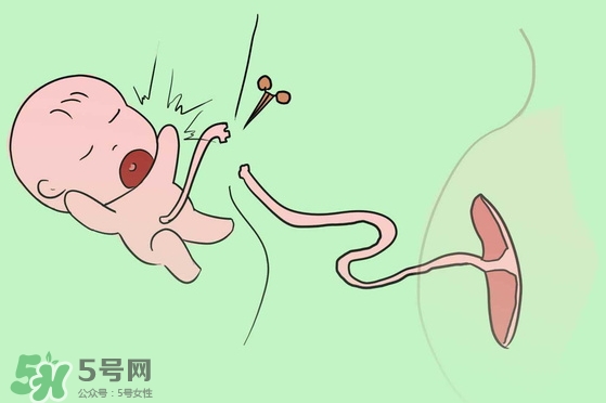 寶寶臍帶什么時(shí)候脫落？寶寶臍帶脫落后怎么護(hù)理？