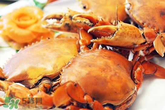 黃油蟹是什么蟹？黃油蟹多少錢一只