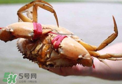 黃油蟹的選蟹標(biāo)準(zhǔn)是什么？黃油蟹的等級(jí)分類(lèi)