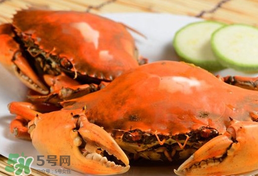 黃油蟹的選蟹標(biāo)準(zhǔn)是什么？黃油蟹的等級(jí)分類(lèi)