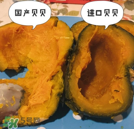 貝貝南瓜怎么挑選？貝貝南瓜有假的嗎